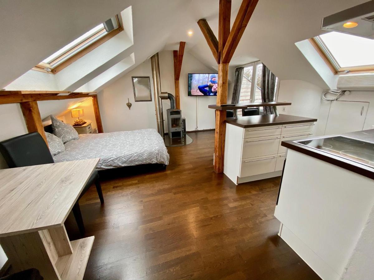 Apartamento Wohnen über den Dächern von Ravensburg, stadtnah, Kamin, Klima Exterior foto
